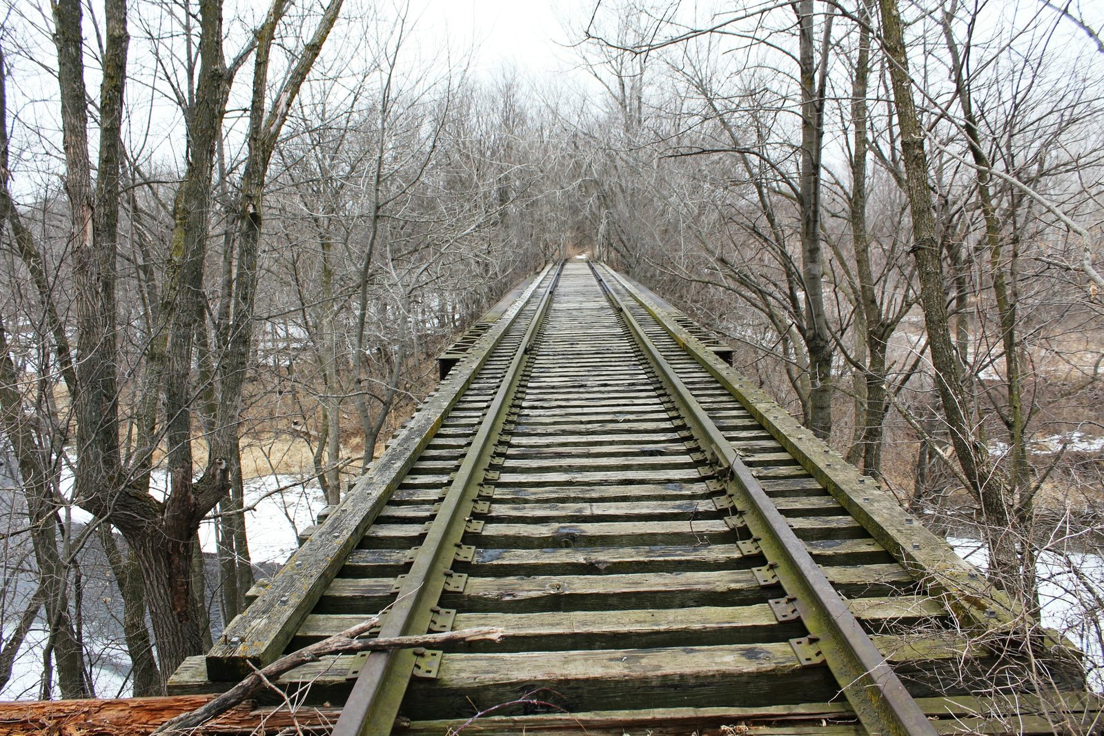 Looking north